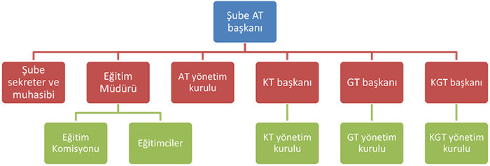 organigrame-tr.png
