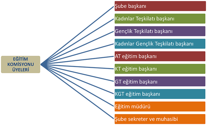 organisation-tr.png